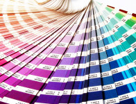 GRAFICA e STAMPA