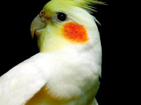 MDESTUDIO